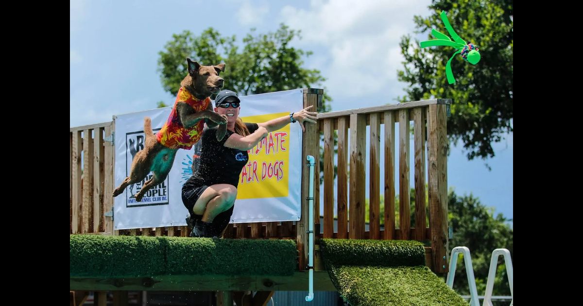 Water Sports Dog Sports