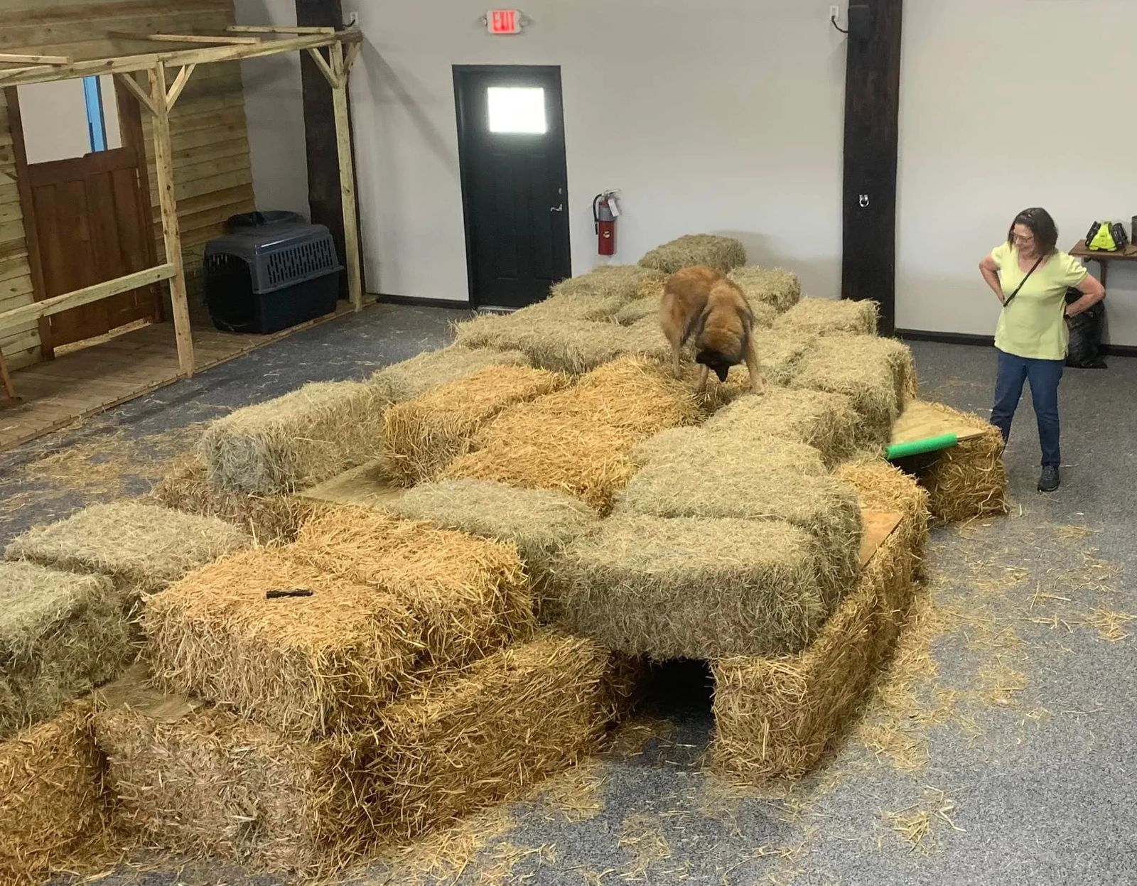 Boarding/Kennel Services